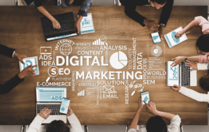 SEO продвижение в сезонном бизнесе